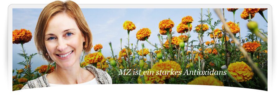 MZ ist ein starkes Antioxidans